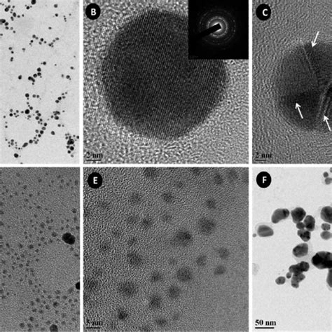 FEG TEM Images Of A And B AuNP And C And D E GNS At Various