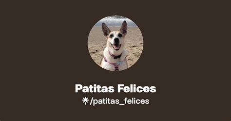 Patitas Felices Linktree