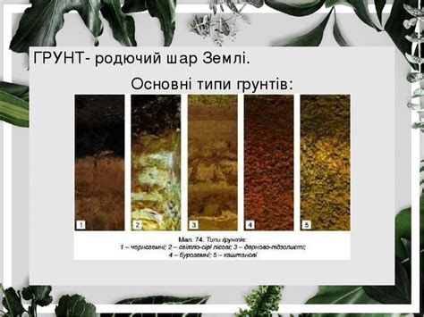 Лужні та кислі грунти.Добрива - презентація з біології