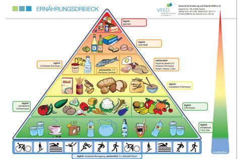 Wie Viel Solltest Du T Glich Essen Um Dich Gesund Zu Ern Hren