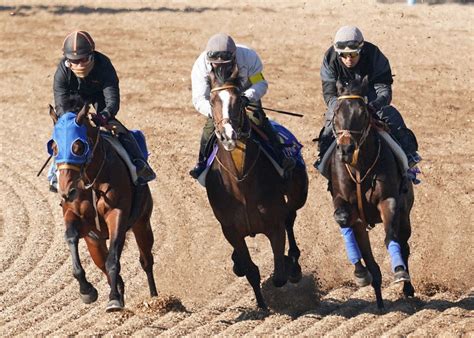 【有馬記念】ダノンベルーガ 秋3戦目でも活気 ラスト1f11秒3で併入 スポニチ競馬web