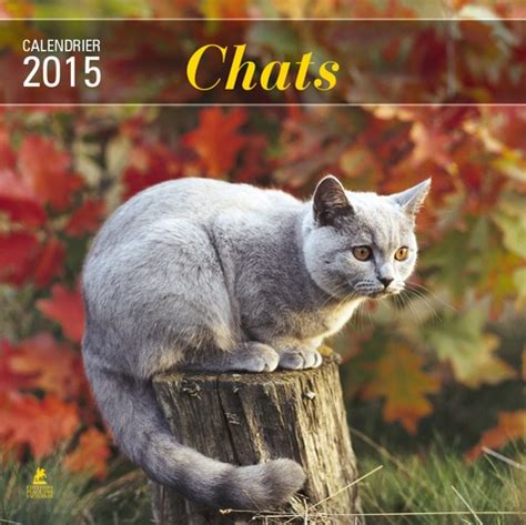 Calendrier Chats 2015 De Collectif Livre Decitre