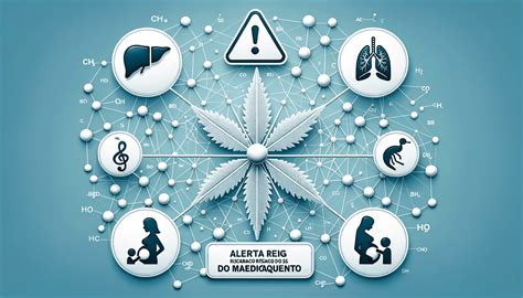 Canabidiol Para Que Serve Usos E Mais 2024