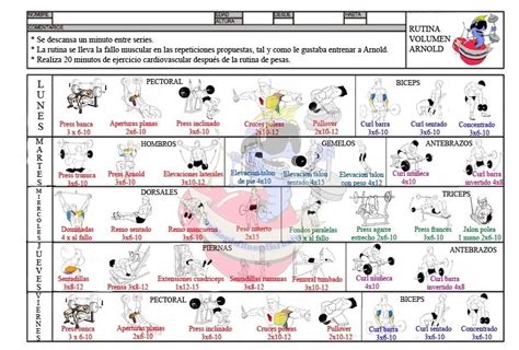 Rutina Con Mancuernas Y Barra Dietas De Nutricion Y Alimentos