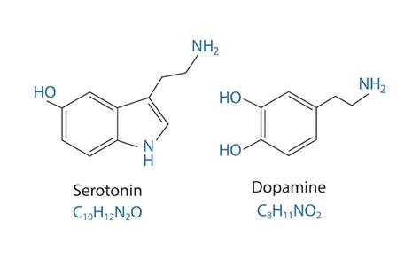 Serotonina y dopamina estructura química fórmula química esquelética