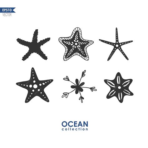 Premium Vector Starfish Isolated On White Set Of Different Species