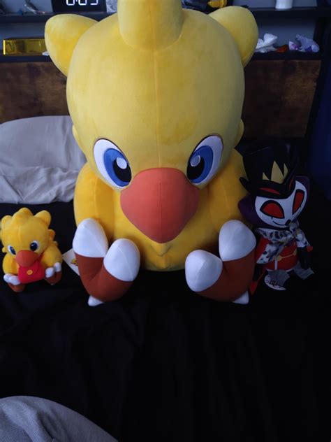 Lil Chocobo Plushie A Friend Got Mr Rfinalfantasy