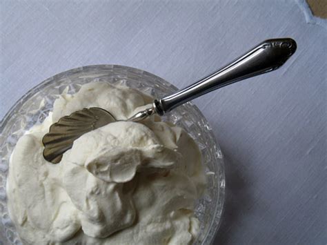 Simple Brandy Cream Recipe - Food.com