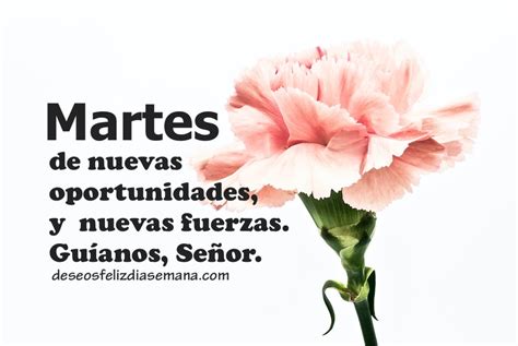 Descubrir Imagen Frases Para El Dia Martes Viaterra Mx