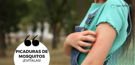 ¿buscas Cremas Para Picaduras De Mosquitos Farmacia San Felix 75