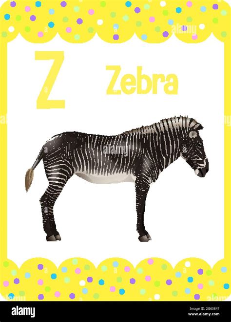 Alphabet Flashcard With Letter Z For Zebra Illustration Stock Vector