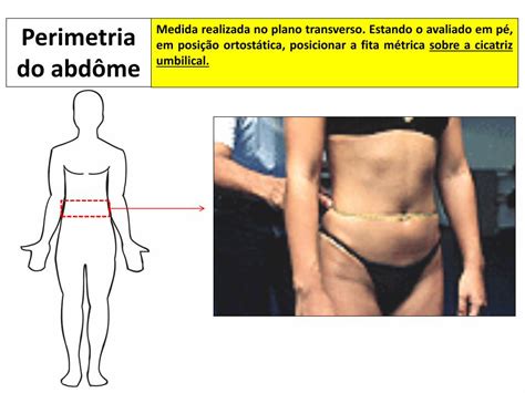 Pdf Aula Perimetria Dobras Cut Neas E Protocolos Perimetria Do