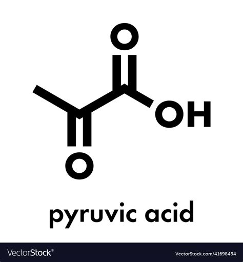 Pyruvic Acid Pyruvate Molecule Important Vector Image