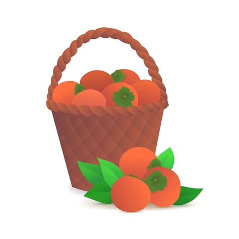 Premium Vector Ripe Persimmons In Wicker Basket Icon Organic Farming