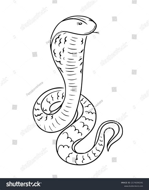 Linear Handdrawn Cobra Icon Tongue Sticking Stock Vector Royalty Free