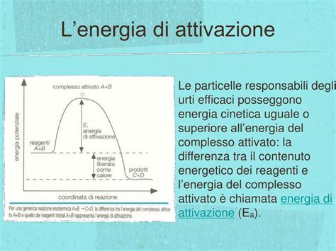 Ppt La Cinetica Chimica Powerpoint Presentation Free Download Id 5905997