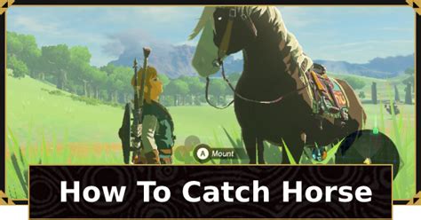 BotW | Horse Guide - How To Catch & Tame Horses | Zelda Breath Of The ...