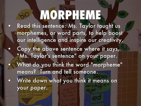 MORPHEME by M Taylor