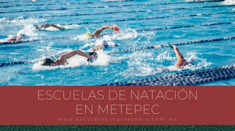 Las 5 MEJORES Escuelas De Natación En Metepec 2025