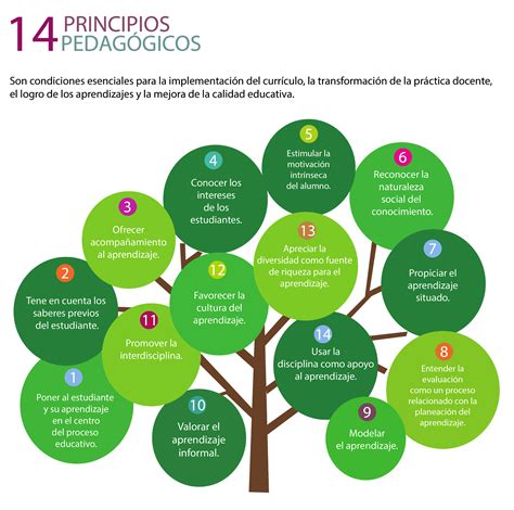 Principios pedagógicos planes de estudio vigentes