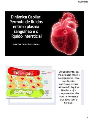 Solved Assinale A Alternativa Que Indica Quem Possui Grande