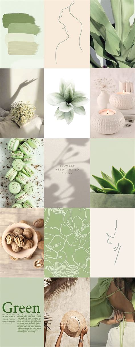 Sage Green Matcha Green Wall Collage Kit Sage Aesthetic