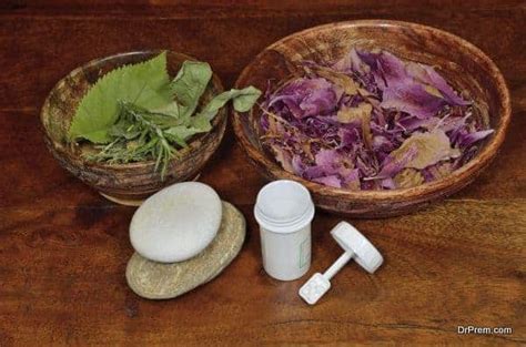 Bach Flower Therapy Wellness Tourism Facilitator Consultancy Services