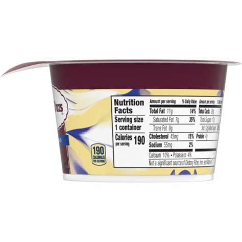 Haagen Dazs Vanilla Bean Cultured Crème Yogurt Style Snack 4 Oz Fry
