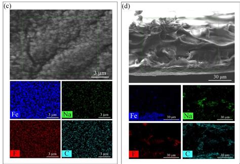 Sem Eds Imaging And Mapping Of Pvdf Paa Fe Hollow Fiber And Flat