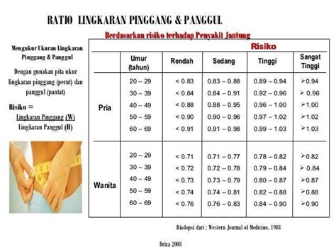 Cara Mengukur Lingkar Pinggang And Pentingnya Bagi Kesehatan