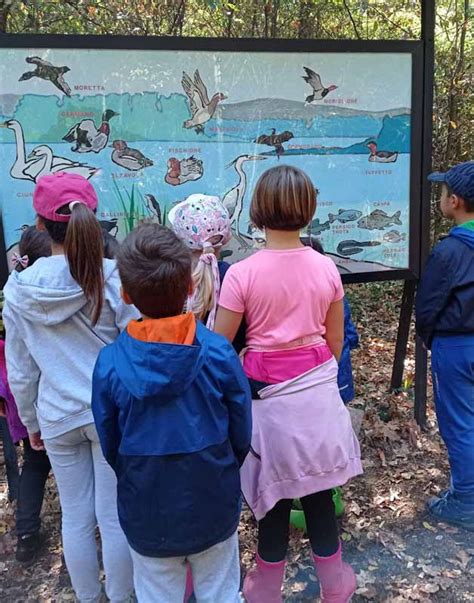 Educazione Ambientale Bosco WWF Di Vanzago