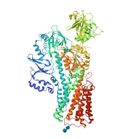 Rcsb Pdb Vpl Cryo Em Structure Of The Human Atp A Spm Bound E Pi