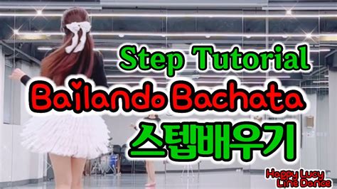 스텝 배우기Step Tutorial Bailando Bachata Line Dance Beginner 바일란도 바차타