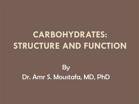 Carbohydrates Structure And FunCTION