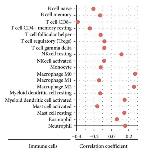 The Estimation Of Immune Cells Infiltration And Immunotherapy