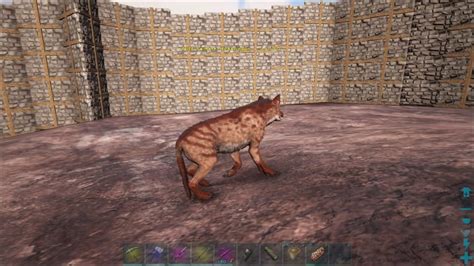 How to tame a hyaenodon in ark