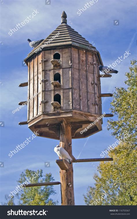 Pigeon House Stock Photo 116755567 Shutterstock