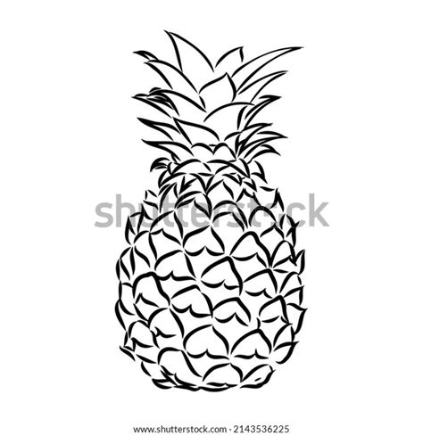 Image Pineapple Fruit Vector Black White Stock Vector Royalty Free 2143536225 Shutterstock