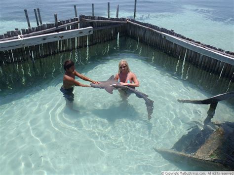 MalibuStrings Bikini Competition Ashli W Gallery