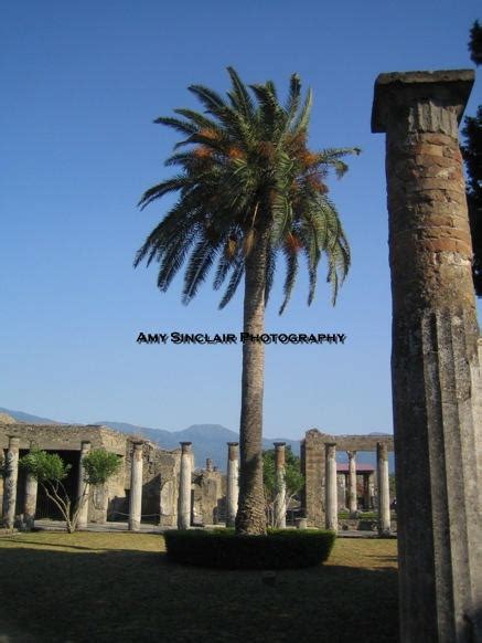 Pompei Palm Tree By Lifexlovexburnxdie On Deviantart