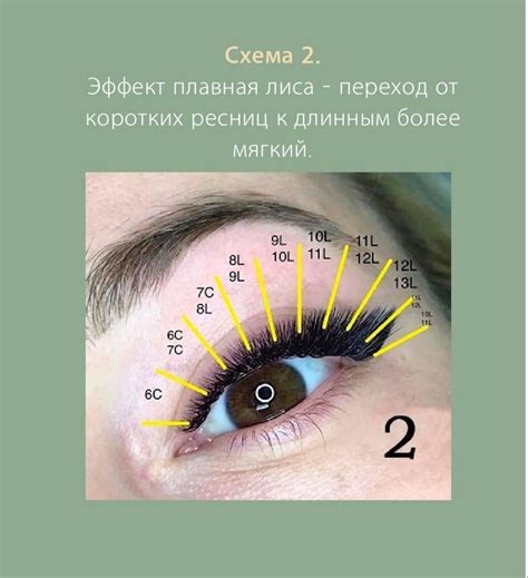 Классика лиса схема наращивания ресниц