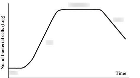 Bacterial Growth Curves Diagram Quizlet