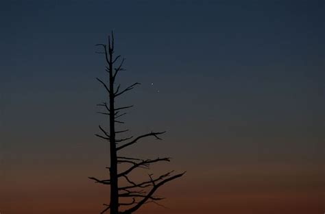 Jupiter And Venus Visible To The Naked Eye In Stunning Conjunction For Early Morning Stargazers