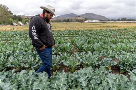 Como Se Le Llama Ala Persona Que Cultiva La Tierra