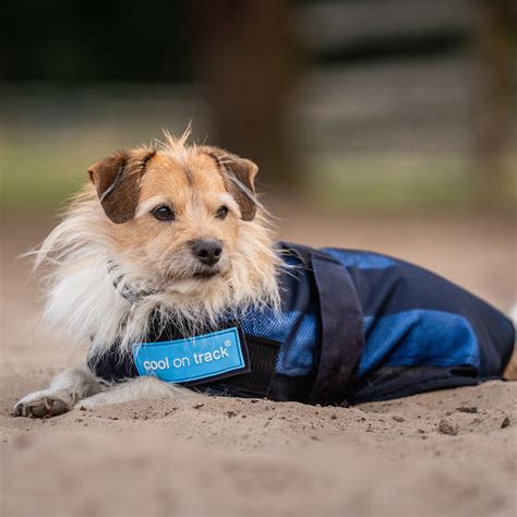 Dog Cooling Coat Cool On Tracktm Back On Track Canada
