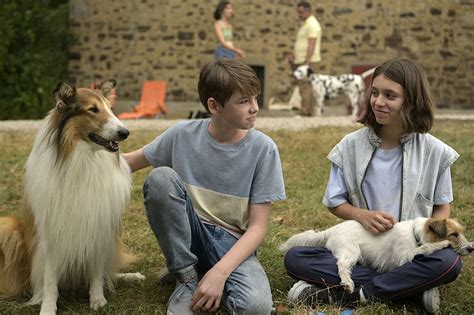 Lassie Ein Neues Abenteuer Filmspiegel Essen