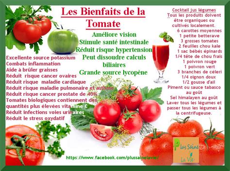 Quels Sont Les Avantages Et Les Bienfaits De La Tomate Hot Sex Picture