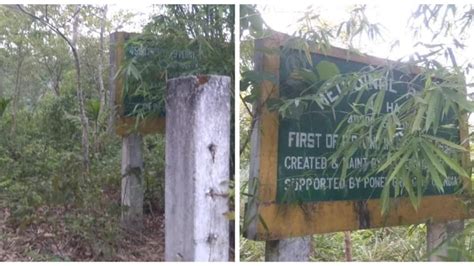 Assam Forest Department And Eco Task Force Join Hands To Clear Forest Encroachment In Haripur