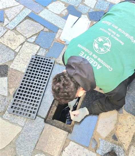 Mutir O Em Bairro De Santos Elimina Focos Larvas De Mosquito