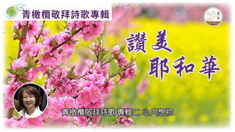 【青橄欖敬拜詩歌專輯】 Cc字幕 12 02 2024 詩歌分享：讚美耶和華（青橄欖敬拜詩歌 專輯二 心只想祢）青橄欖敬拜詩歌專輯 讚美